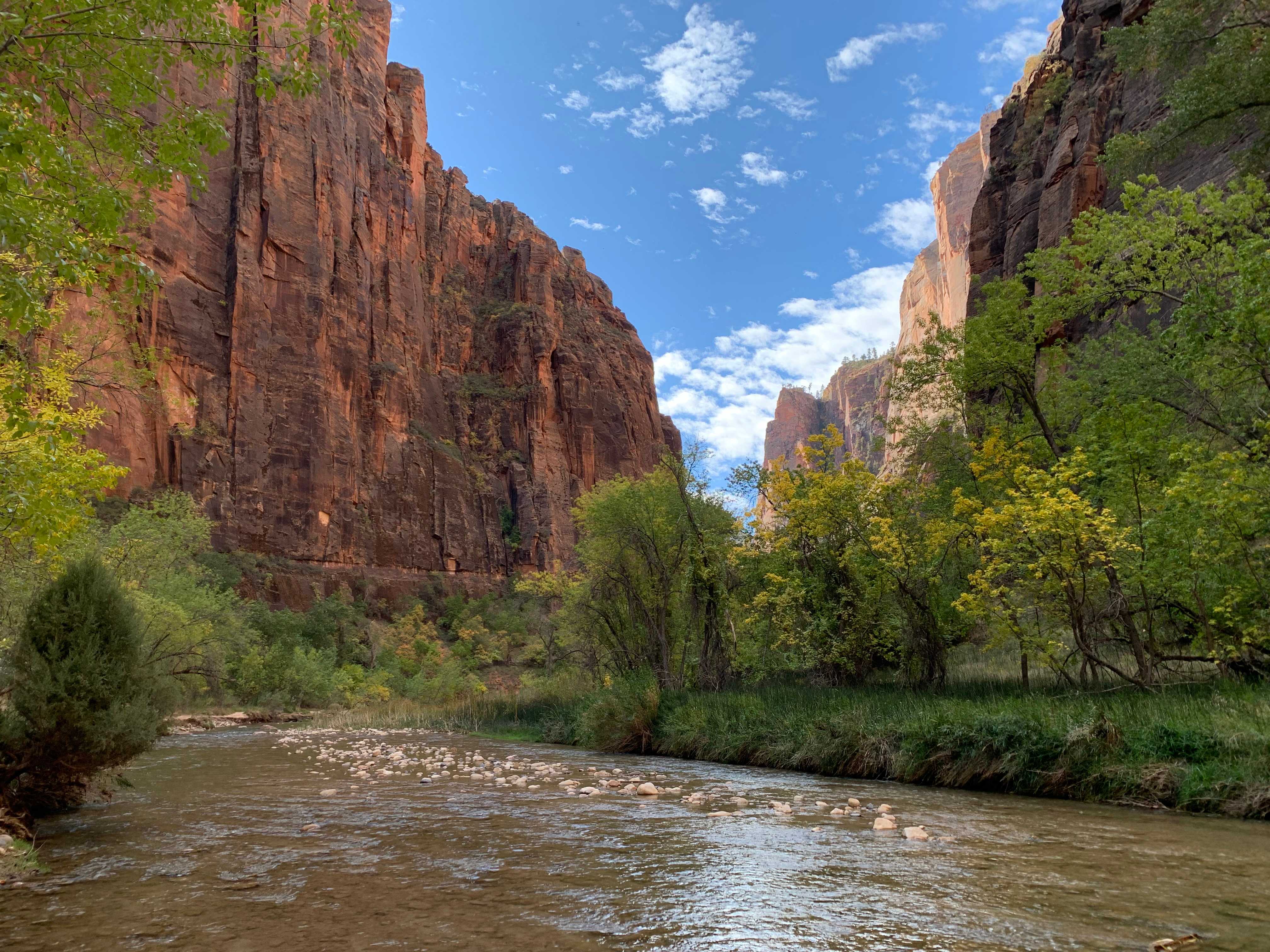 Zion NP